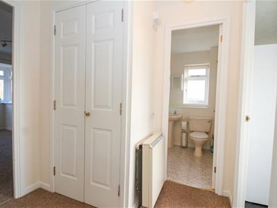 Picture 8